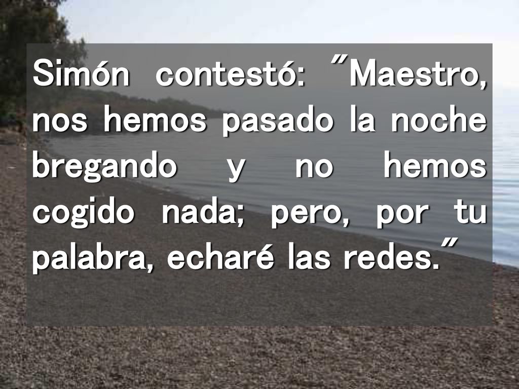 Simón contestó: Maestro, nos hemos pasado la noche bregando y no hemos cogido nada; pero, por tu palabra, echaré las redes.