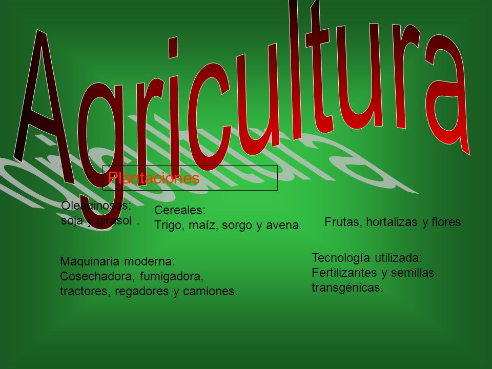 Agricultura Plantaciones Oleaginosas: soja y girasol . Cereales: