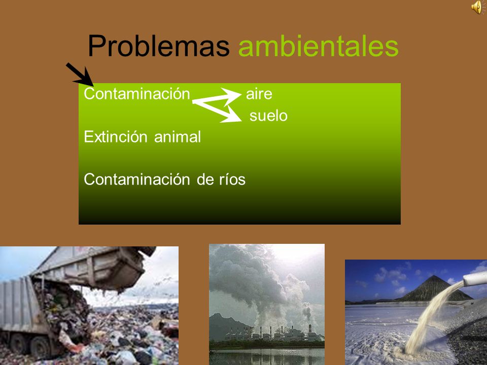 Problemas ambientales
