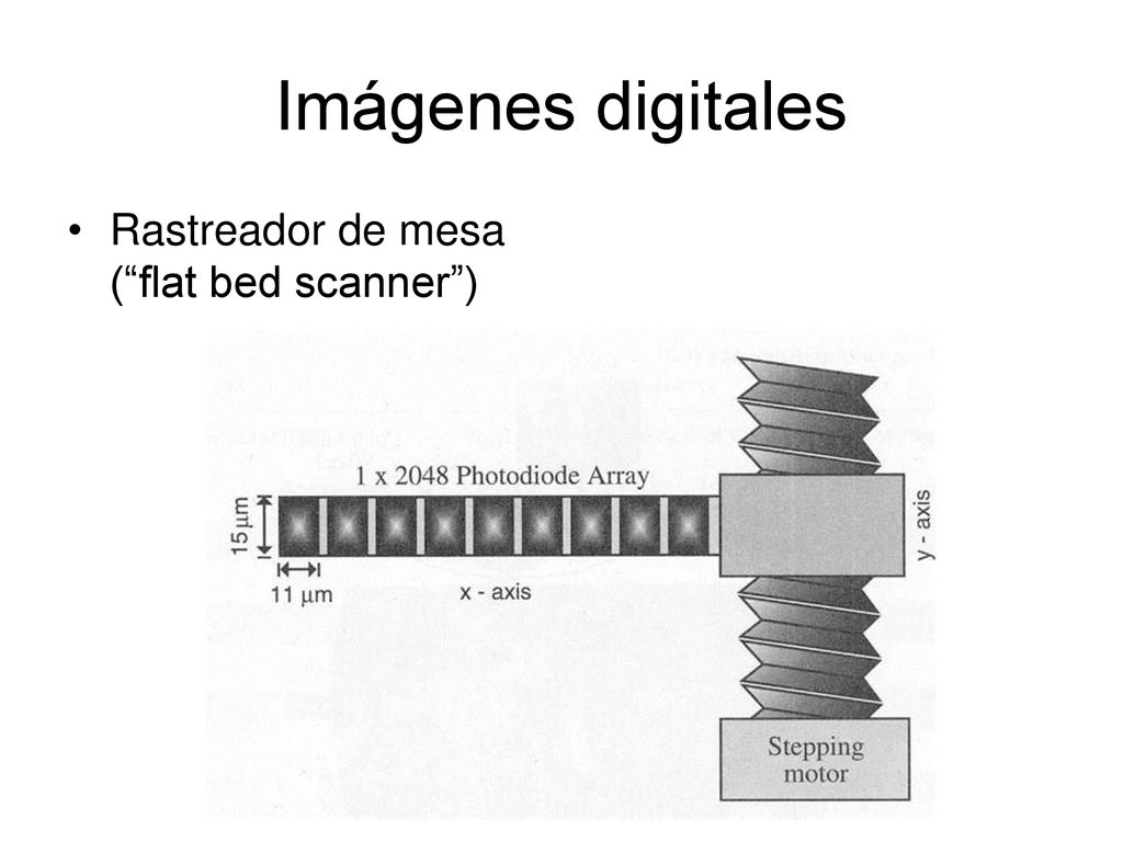 Imágenes digitales Rastreador de mesa ( flat bed scanner )