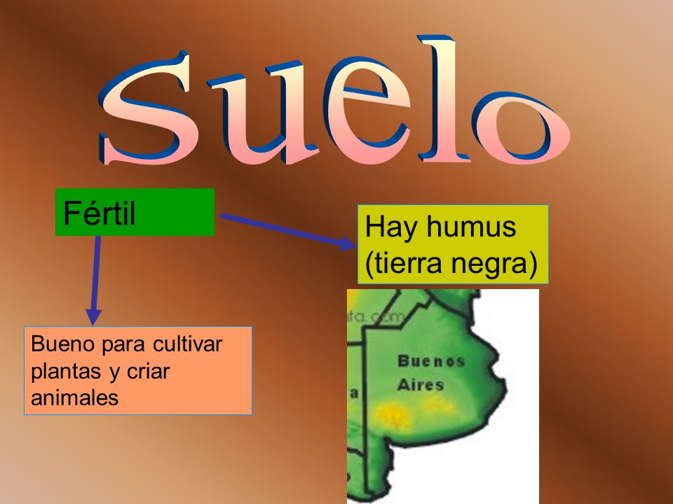 Suelo Fértil Hay humus (tierra negra)