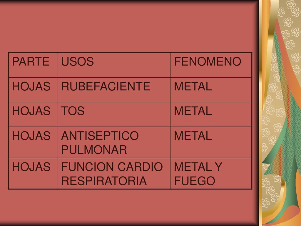 PARTE USOS. FENOMENO. HOJAS. RUBEFACIENTE. METAL. TOS. ANTISEPTICO PULMONAR. FUNCION CARDIO RESPIRATORIA.