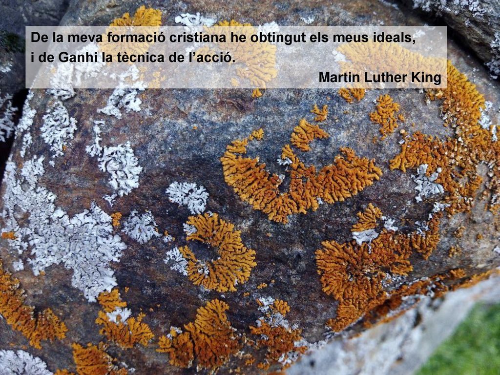 De la meva formació cristiana he obtingut els meus ideals,
