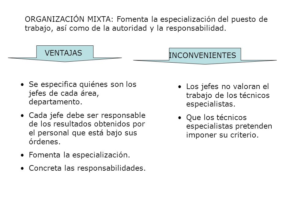 ORGANIZACIÓN MIXTA: Fomenta la especialización del puesto de trabajo, así como de la autoridad y la responsabilidad.