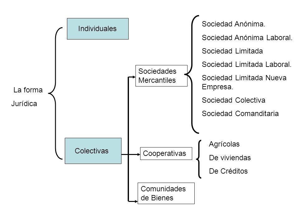 Individuales Sociedad Anónima. Sociedad Anónima Laboral. Sociedad Limitada. Sociedad Limitada Laboral.