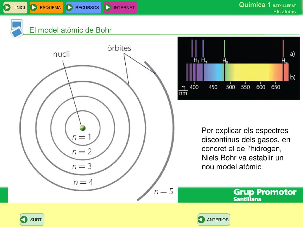 El model atòmic de Bohr Per explicar els espectres discontinus dels gasos, en concret el de l’hidrogen, Niels Bohr va establir un nou model atòmic.