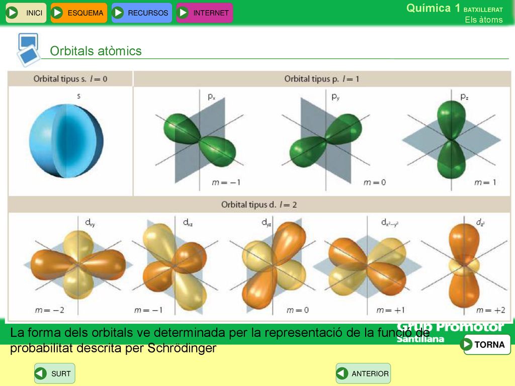 Orbitals atòmics La forma dels orbitals ve determinada per la representació de la funció de probabilitat descrita per Schrödinger.