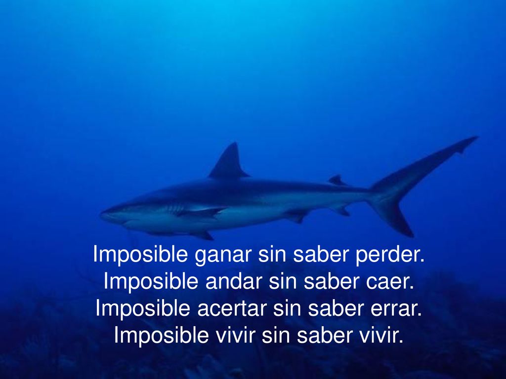 Imposible ganar sin saber perder. Imposible andar sin saber caer.