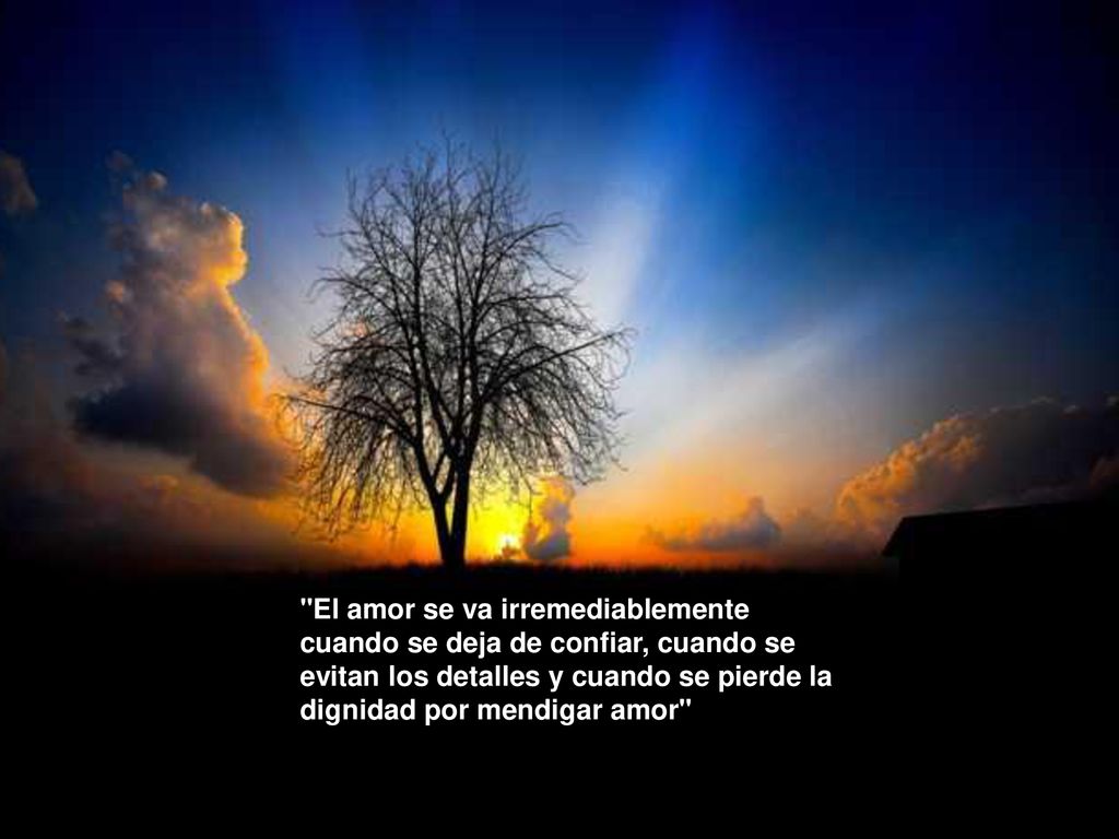 El amor se va irremediablemente cuando se deja de confiar, cuando se evitan los detalles y cuando se pierde la dignidad por mendigar amor