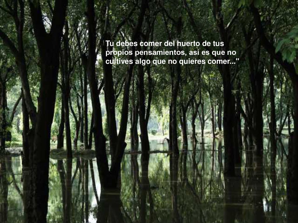 Tu debes comer del huerto de tus propios pensamientos, así es que no cultives algo que no quieres comer...