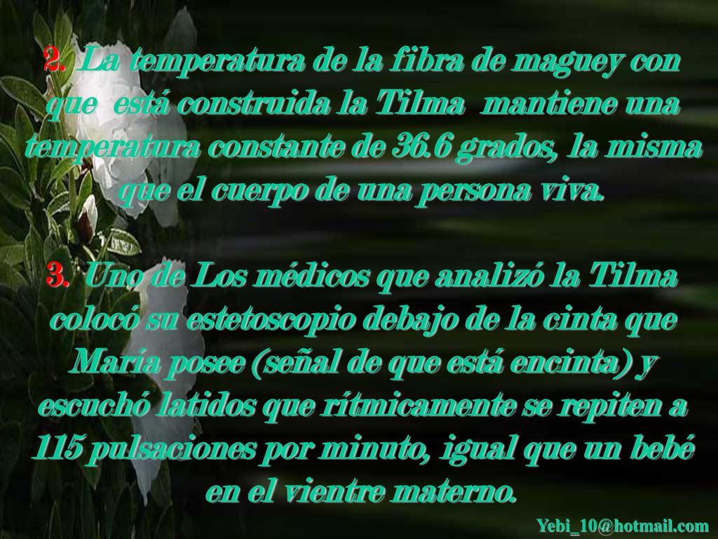 2. La temperatura de la fibra de maguey con que está construida la Tilma mantiene una temperatura constante de 36.6 grados, la misma que el cuerpo de una persona viva.