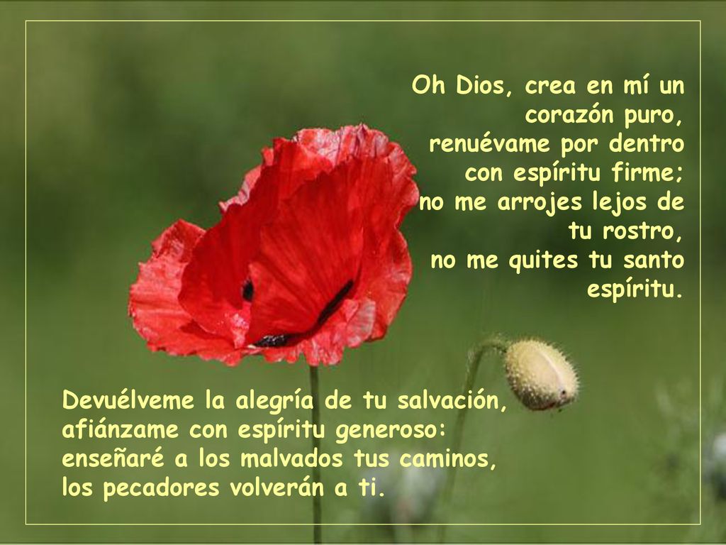 Oh Dios, crea en mí un corazón puro, renuévame por dentro con espíritu firme; no me arrojes lejos de tu rostro, no me quites tu santo espíritu.