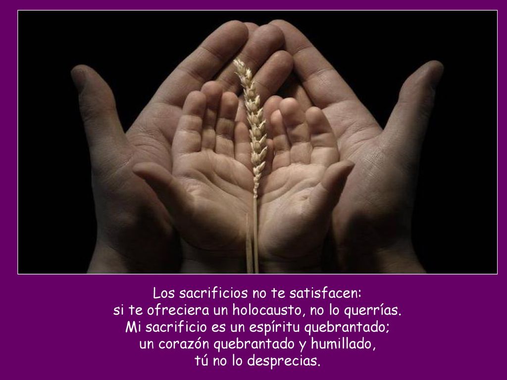 Los sacrificios no te satisfacen: si te ofreciera un holocausto, no lo querrías.