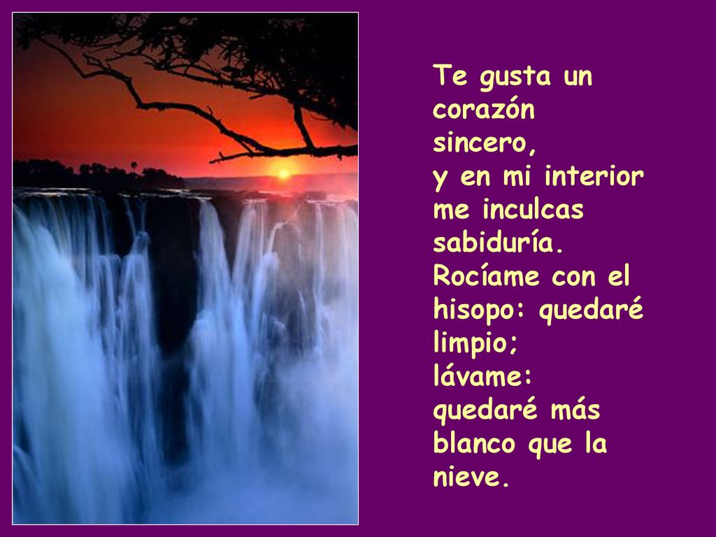 Te gusta un corazón sincero, y en mi interior me inculcas sabiduría