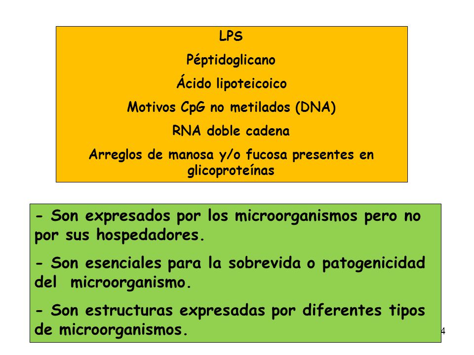 - Son expresados por los microorganismos pero no por sus hospedadores.