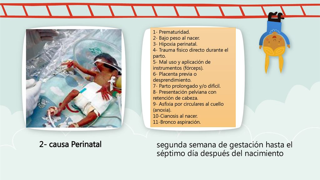 1- Prematuridad. 2- Bajo peso al nacer. 3- Hipoxia perinatal. 4- Trauma físico directo durante el parto.