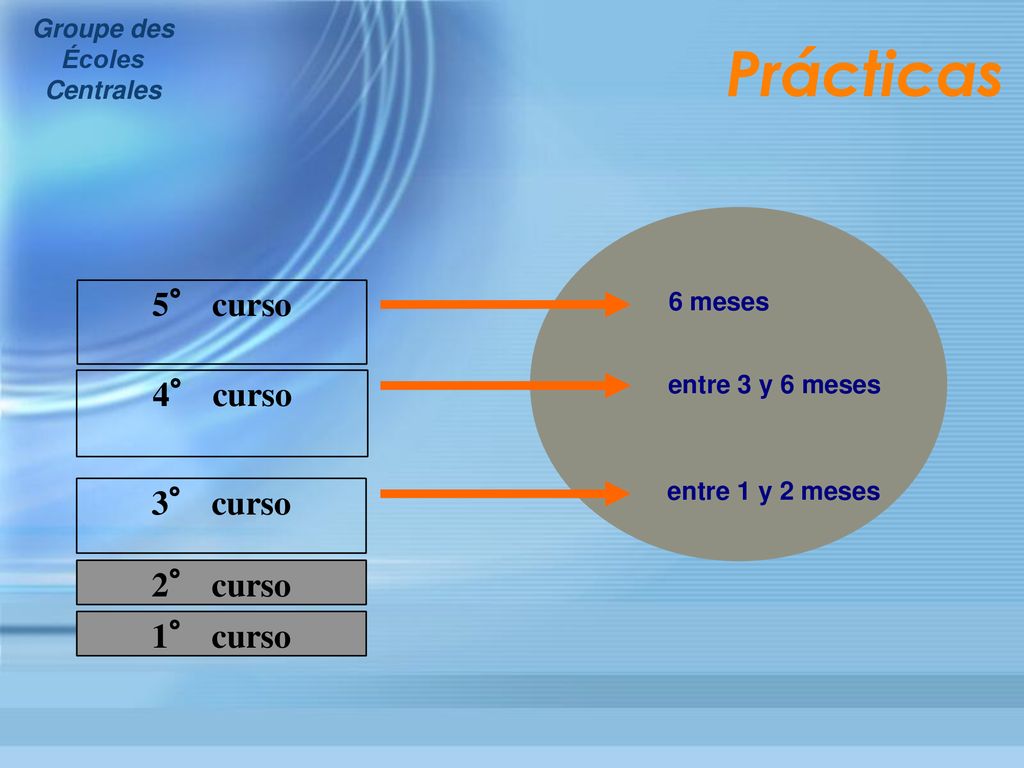 Prácticas 5° curso 4° curso 3° curso 2° curso 1° curso 6 meses
