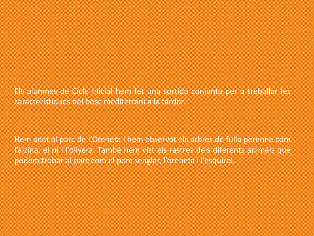 Els alumnes de Cicle Inicial hem fet una sortida conjunta per a treballar les característiques del bosc mediterrani a la tardor.