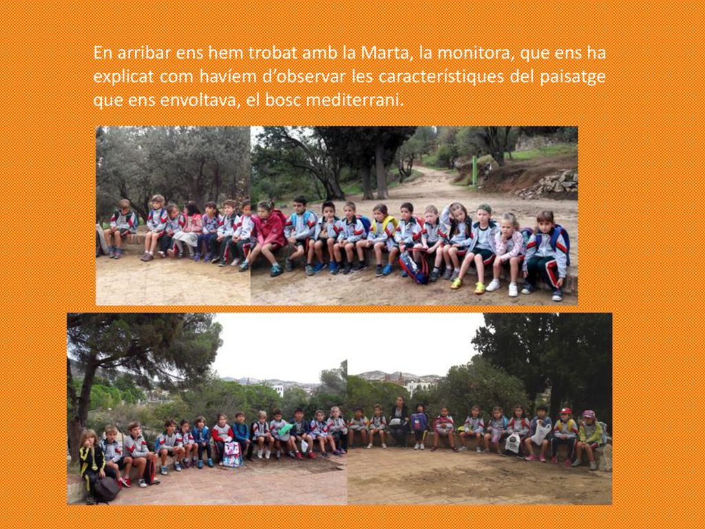 En arribar ens hem trobat amb la Marta, la monitora, que ens ha explicat com havíem d’observar les característiques del paisatge que ens envoltava, el bosc mediterrani.
