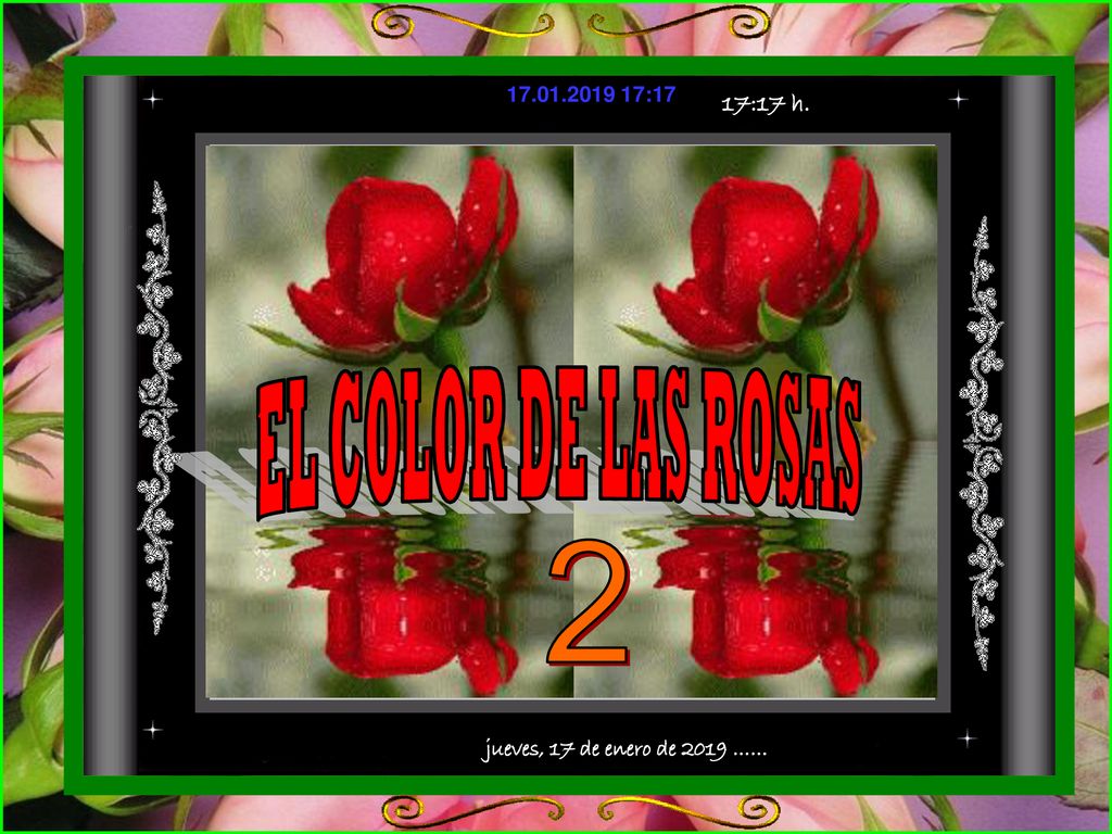 EL COLOR DE LAS ROSAS 2 jueves, 17 de enero de 2019 …… 17:17 h.