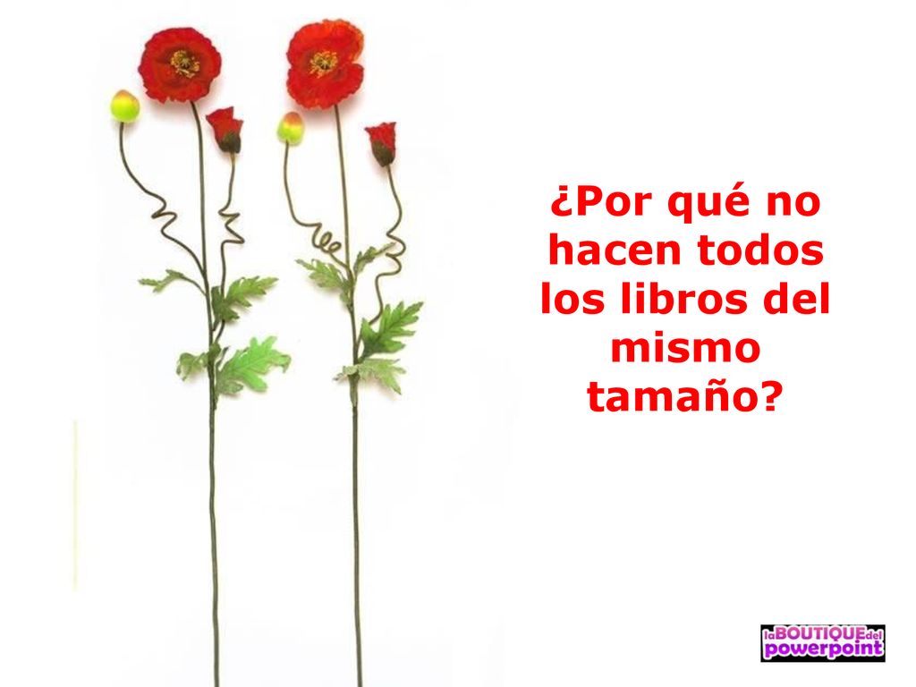 ¿Por qué no hacen todos los libros del mismo tamaño