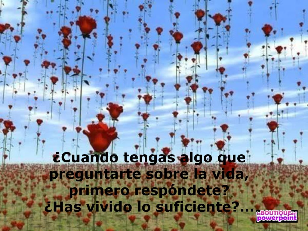 ¿Cuando tengas algo que preguntarte sobre la vida, primero respóndete
