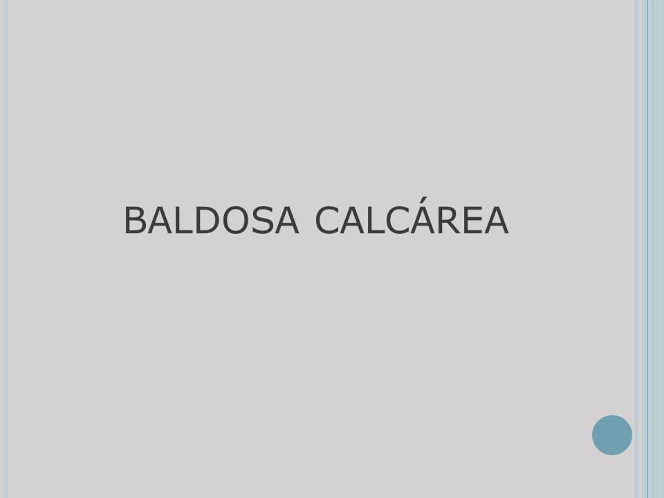 BALDOSA CALCÁREA
