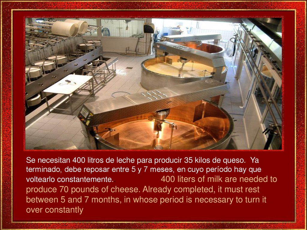 Se necesitan 400 litros de leche para producir 35 kilos de queso