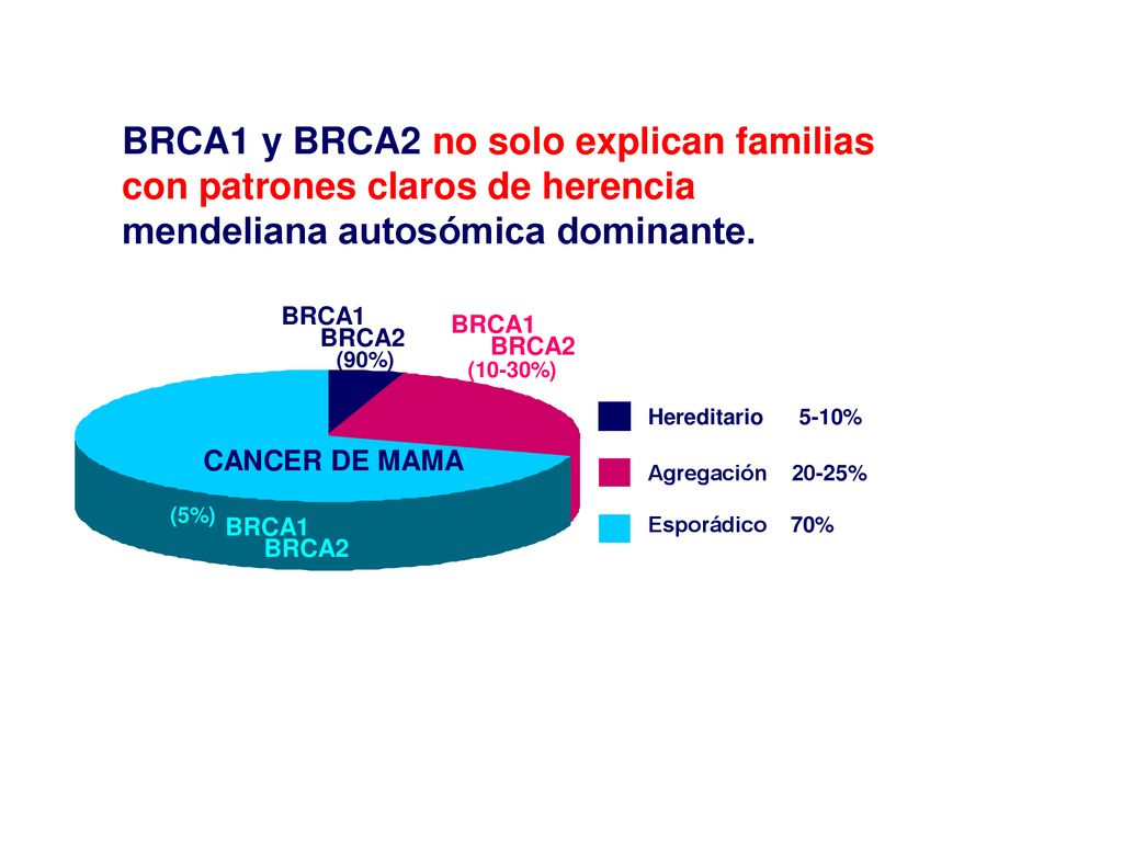 BRCA1 y BRCA2 no solo explican familias con patrones claros de herencia mendeliana autosómica dominante.