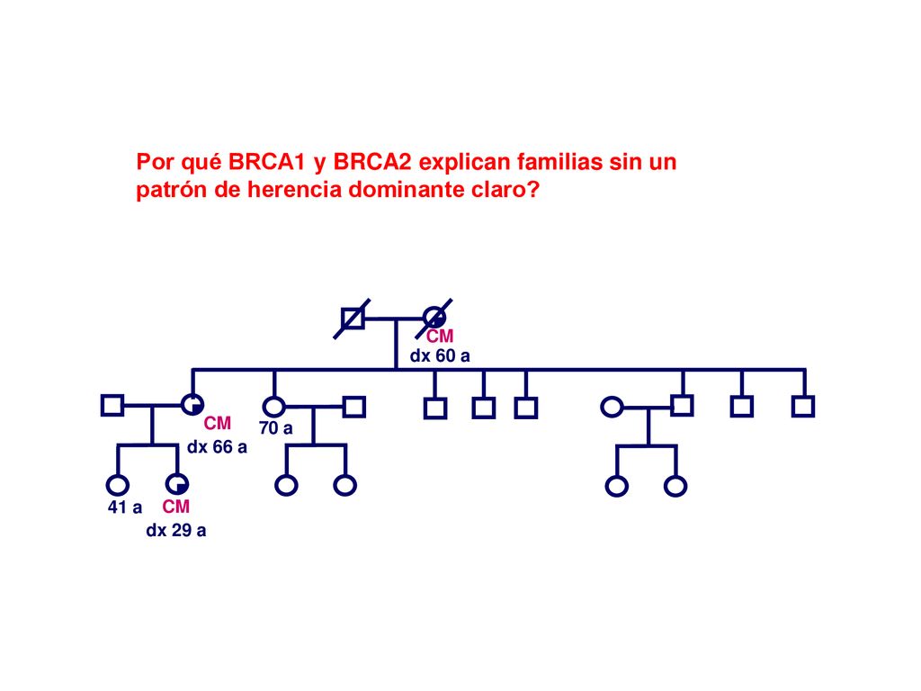 Por qué BRCA1 y BRCA2 explican familias sin un patrón de herencia dominante claro