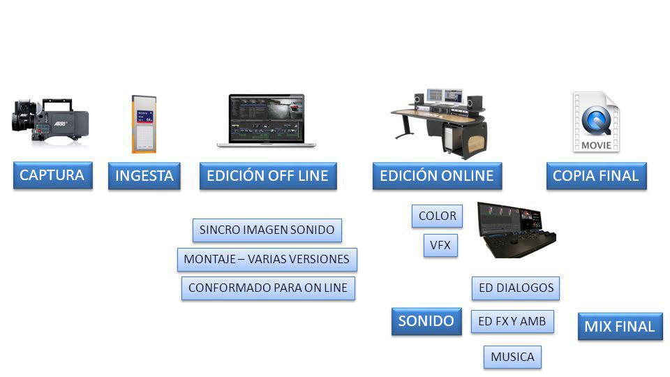 EDICIÓN ONLINE CAPTURA INGESTA EDICIÓN OFF LINE COPIA FINAL SONIDO