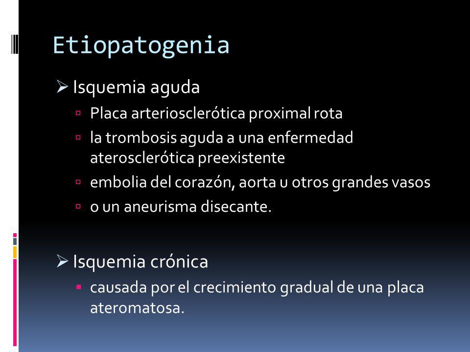 Etiopatogenia Isquemia aguda Isquemia crónica