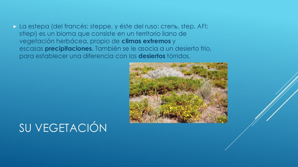 La estepa (del francés: steppe, y éste del ruso: степь, step, AFI: sʲtʲepʲ)​ es un bioma que consiste en un territorio llano de vegetación herbácea, propio de climas extremos y escasas precipitaciones. También se le asocia a un desierto frío, para establecer una diferencia con los desiertos tórridos.