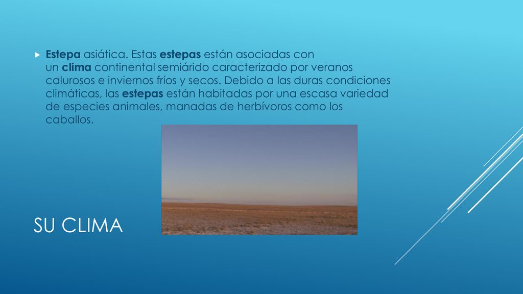 Estepa asiática. Estas estepas están asociadas con un clima continental semiárido caracterizado por veranos calurosos e inviernos fríos y secos. Debido a las duras condiciones climáticas, las estepas están habitadas por una escasa variedad de especies animales, manadas de herbívoros como los caballos.