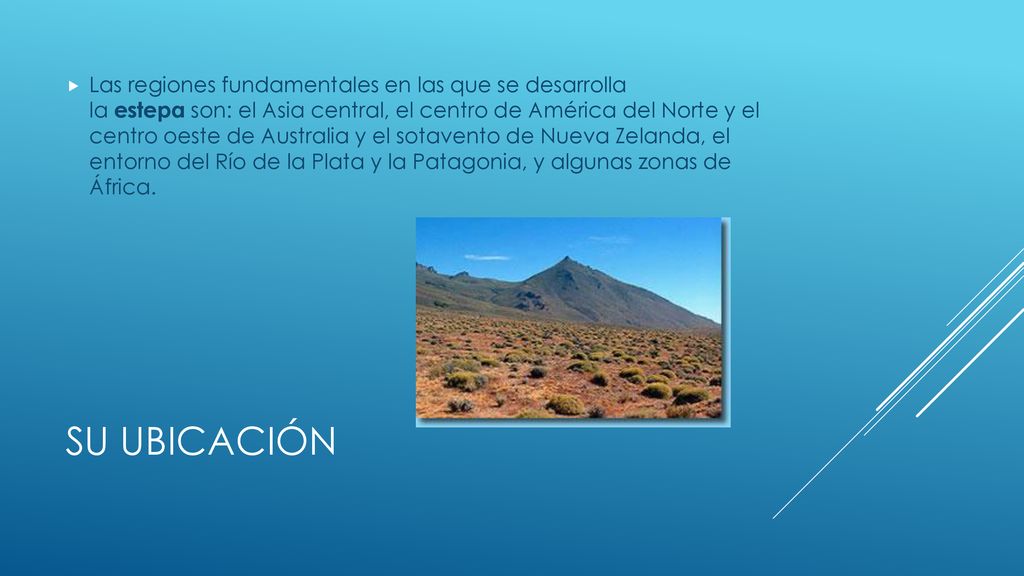 Las regiones fundamentales en las que se desarrolla la estepa son: el Asia central, el centro de América del Norte y el centro oeste de Australia y el sotavento de Nueva Zelanda, el entorno del Río de la Plata y la Patagonia, y algunas zonas de África.