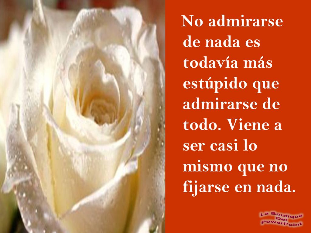 No admirarse de nada es todavía más estúpido que admirarse de todo