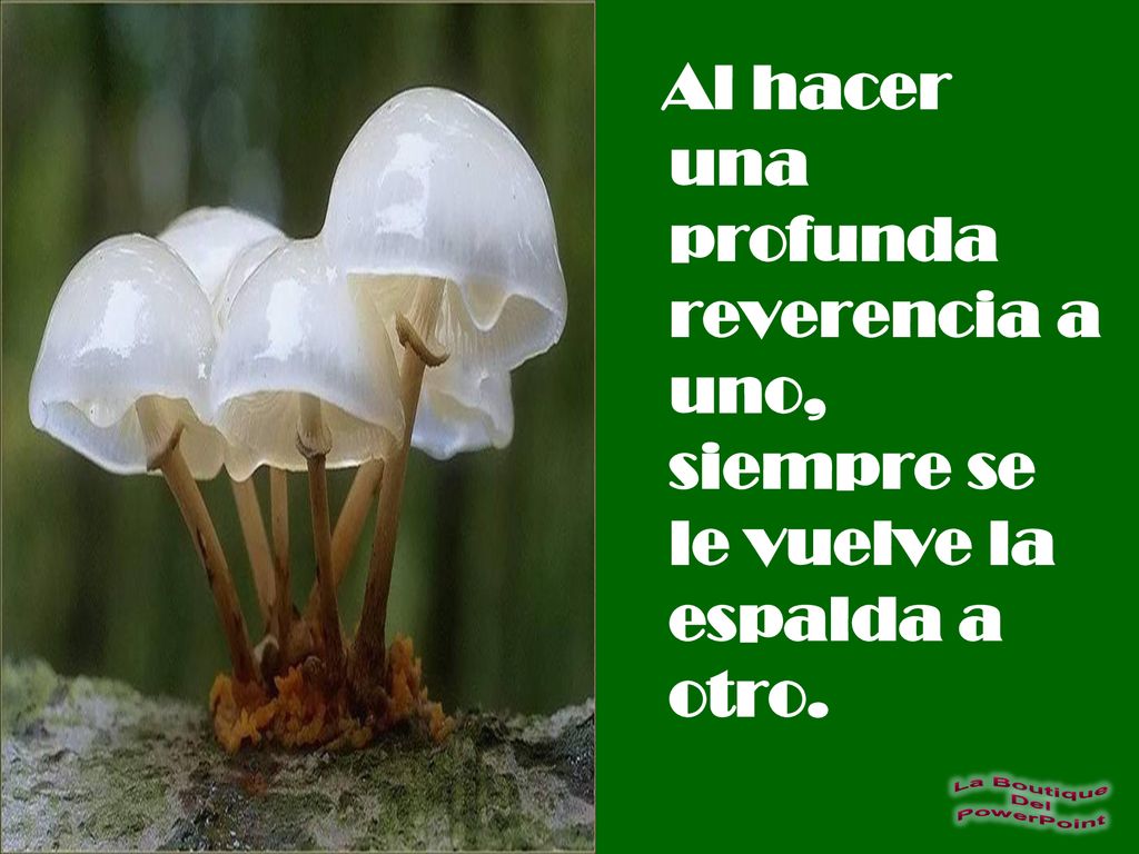 Al hacer una profunda reverencia a uno, siempre se le vuelve la espalda a otro.