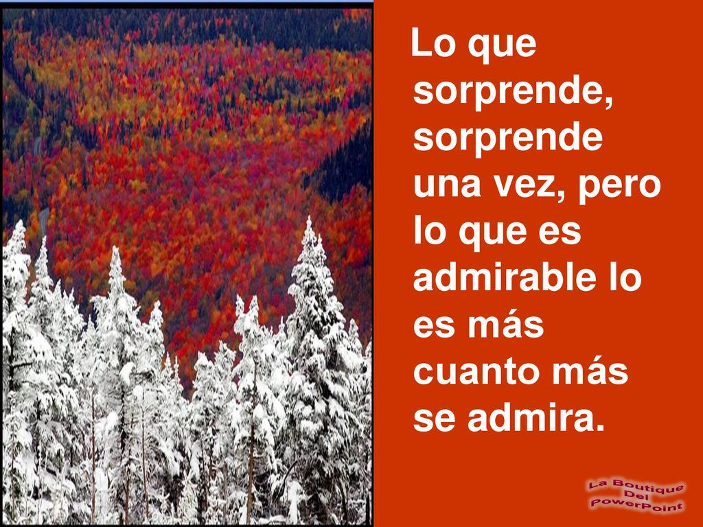 Lo que sorprende, sorprende una vez, pero lo que es admirable lo es más cuanto más se admira.