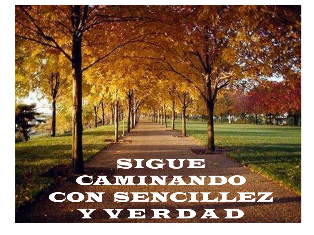 SIGUE CAMINANDO CON SENCILLEZ Y V E R D A D