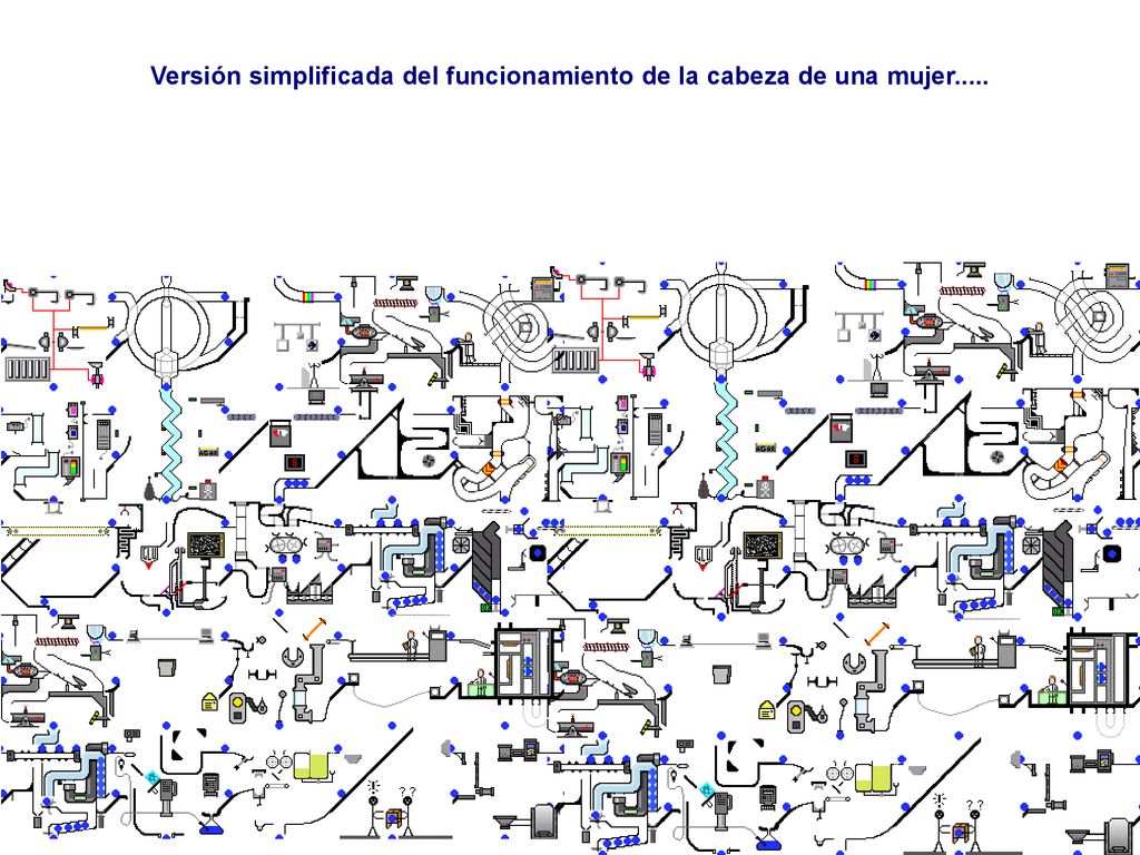 Versión simplificada del funcionamiento de la cabeza de una mujer.....