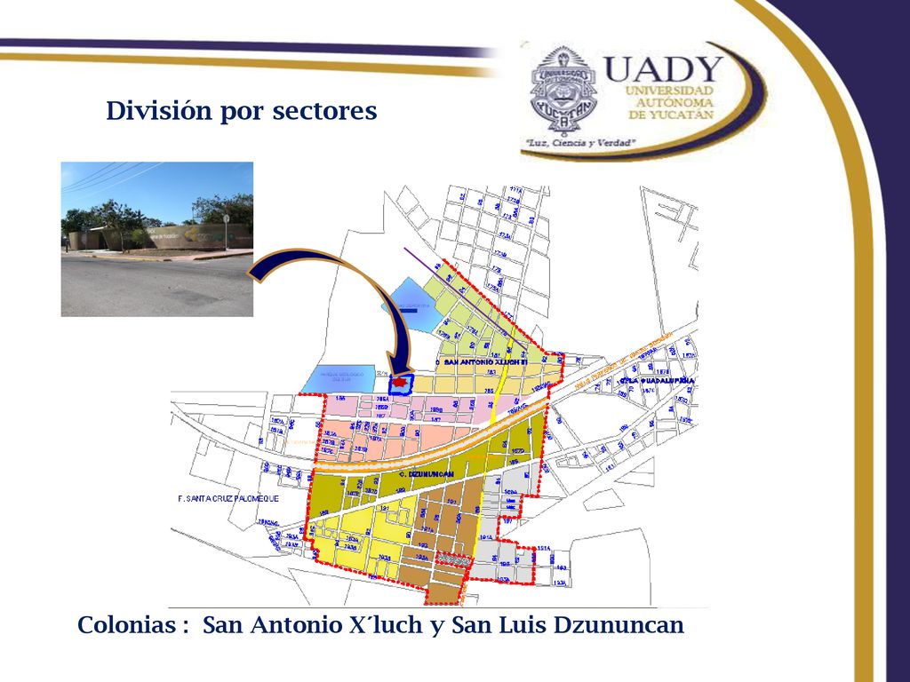 División por sectores Colonias : San Antonio X´luch y San Luis Dzununcan