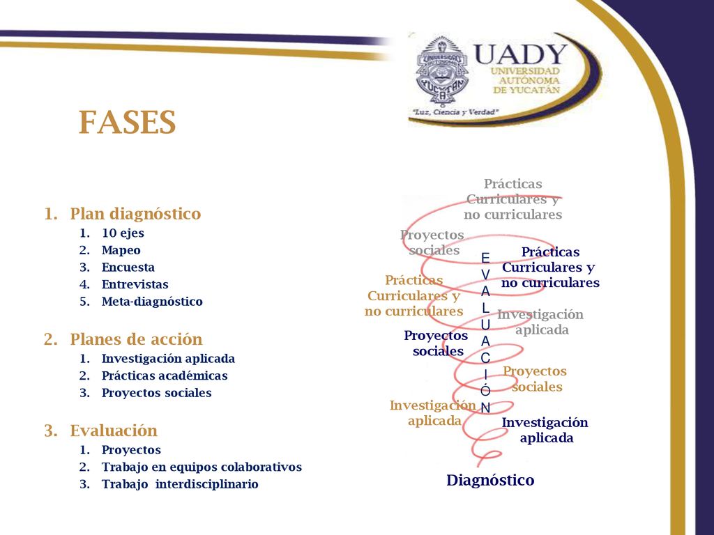 FASES Plan diagnóstico Planes de acción Evaluación Diagnóstico E V A L