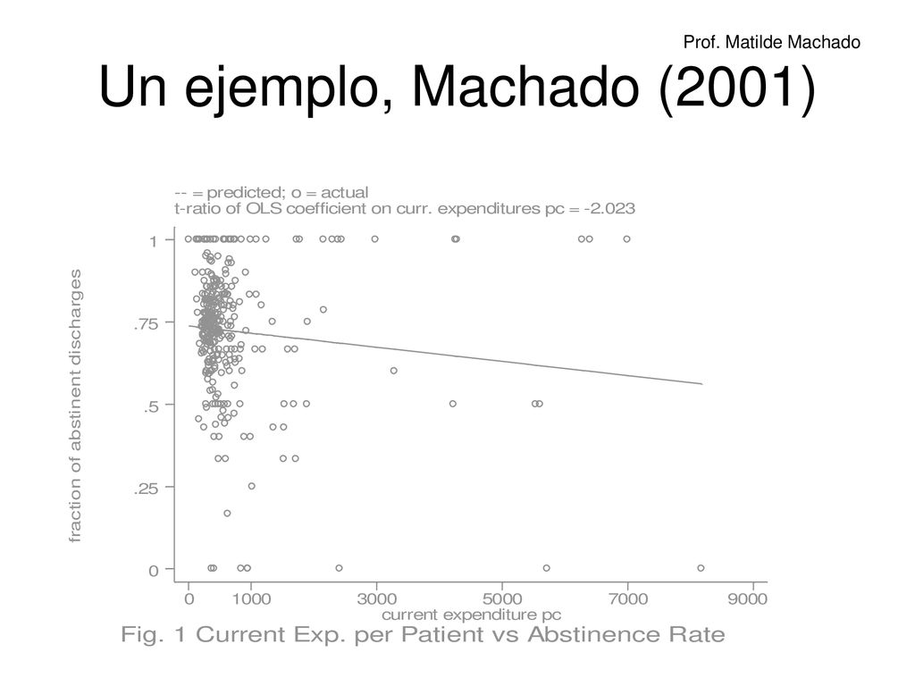 Un ejemplo, Machado (2001) Cada punto en el grafico es un programa en un trimestre.