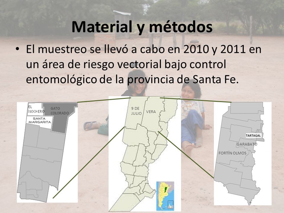 Material y métodos El muestreo se llevó a cabo en 2010 y 2011 en un área de riesgo vectorial bajo control entomológico de la provincia de Santa Fe.