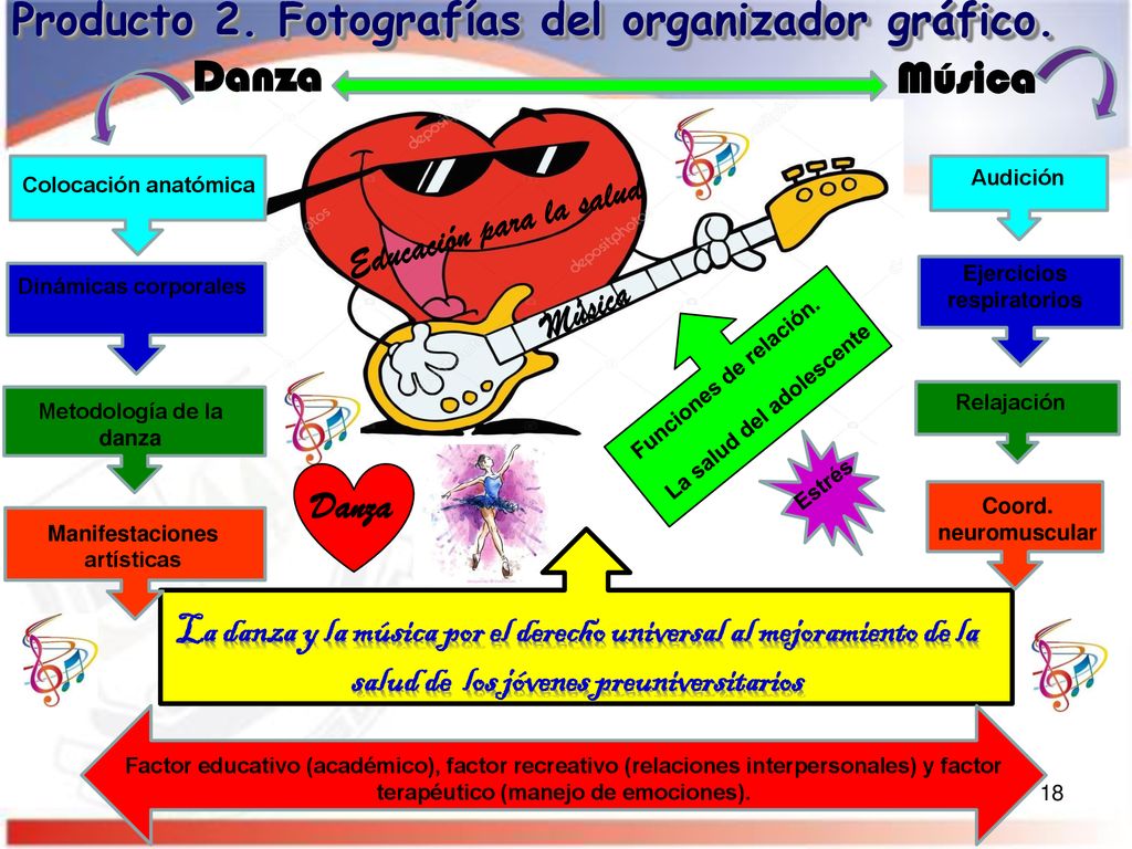 Producto 2. Fotografías del organizador gráfico.