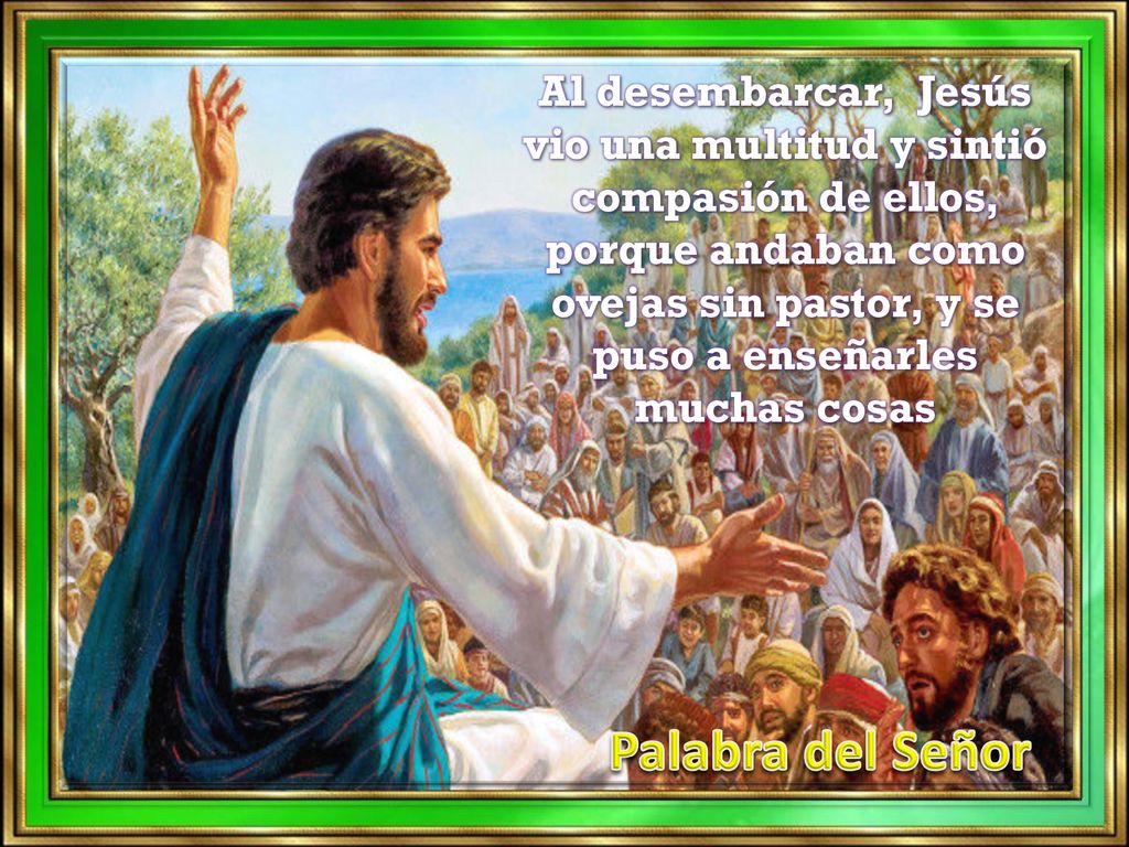 Al desembarcar, Jesús vio una multitud y sintió compasión de ellos, porque andaban como ovejas sin pastor, y se puso a enseñarles muchas cosas