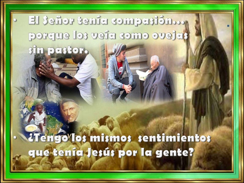 El Señor tenía compasión… porque los veía como ovejas sin pastor.