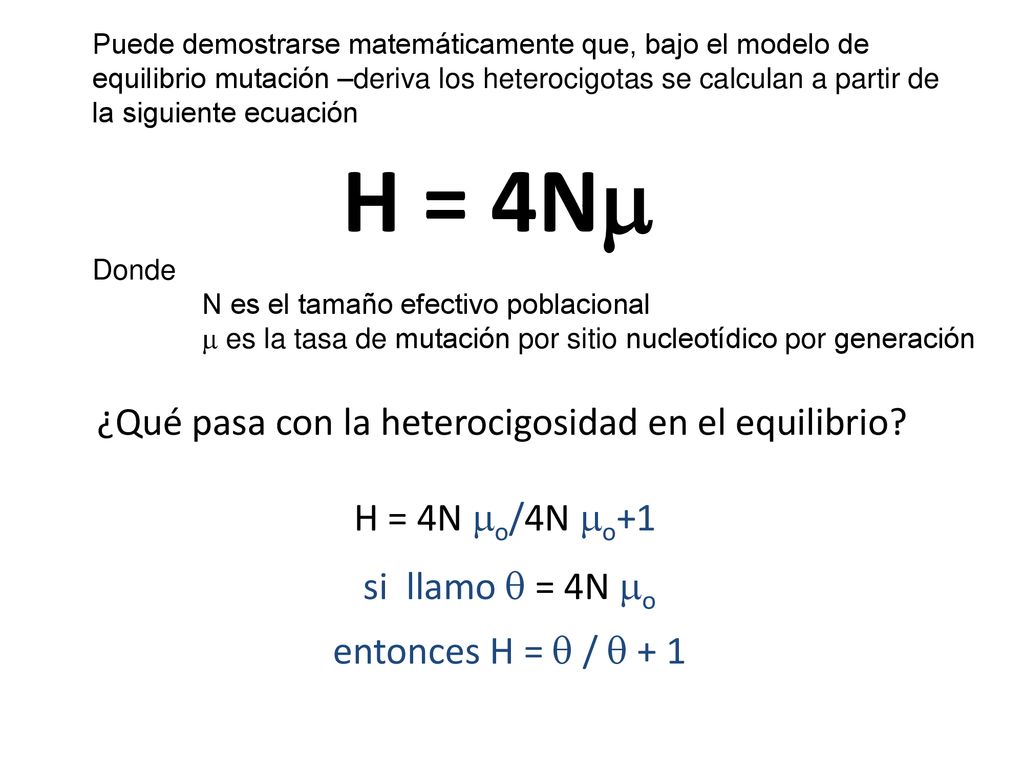 H = 4N ¿Qué pasa con la heterocigosidad en el equilibrio