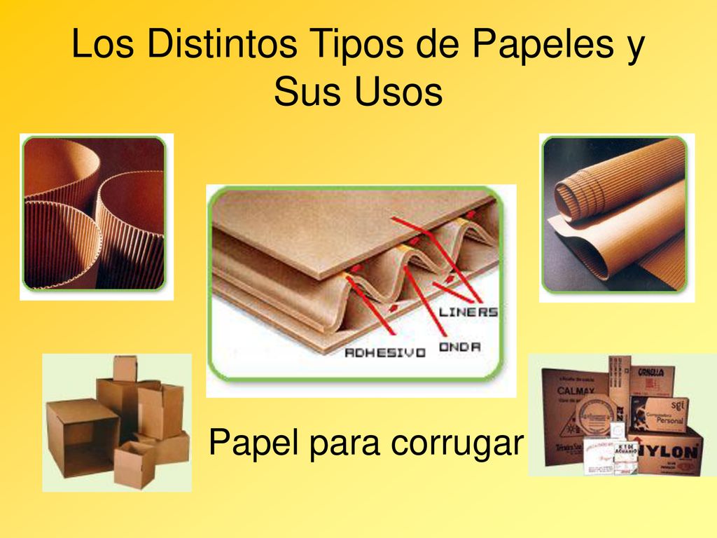 Los Distintos Tipos de Papeles y Sus Usos