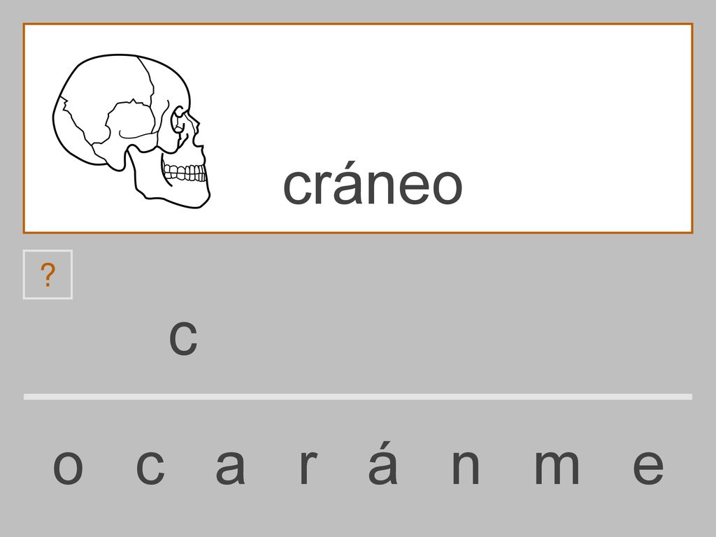 cráneo c o c a r á n m e